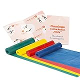 Original Thera-Band Set - 4 Gymnastikbänder für Fitnessübungen und Physiotherapie - inkl. Trainingsplan - 4er Set je 2,5m - Grün, Gelb, Rot, Blau - Flamingo ON The Beach