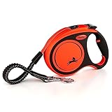 flexi Rollleine Xtreme - Tape Leash schwarz orange, L (1er Pack), XT30T5.251.S OR