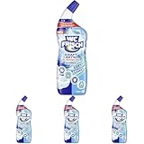 WC Frisch WC-Reiniger Gel Ozeanfrische (750 ml), WC-Reiniger mit Lufterfrischer-Effekt, Toilettenreiniger sorgt für hygienische Frische, mit 4-fach Aktivstoff-Kombination (Packung mit 4)