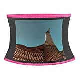 ENGhjes Graceful Brown Adler verstellbarer Bund, Körperformung, Fitnessstudio, Yoga, Laufen, Fitness, Schlankheitsgürtel