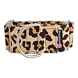 Woofpetshop® Martingale Halsband, Halsband für kleine, mittlere und große Hunde, ideal für Windhunde und Podenco (4 cm - Größe XS (29 ~ 36 cm), Cheeta)