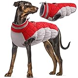 Hundemantel Winter, wasserdichte Welpen Warme Jacke Weste Reflektierende Hundejacke Fleece Gefüttert Wintermantel mit Fleecekragen Winter Hundekleidung(Rot, L)