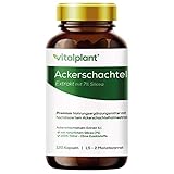 Vitalplant® Ackerschachtelhalm Extrakt 500mg im Braunglas - 120 Kapseln Hochdosiertes Schachtelhalm Extrakt (5:1) mit organischem Silizium - Vegan