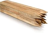 Buchenholz Holzpflöcke & Holzpfähle Quadratisch 25 Stück - Längen 120 cm - Ideal für Zaunpfosten, Zaunpfähle, Baumpfähle und Gartenarbeiten - Robuste Pflanzstäbe 25 mm x 25 mm