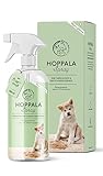 Annimally Enzymreiniger Spray 750ml gegen Katzenurin & Hundeurin XXL Packung - Tier Geruchsentferner gegen Urin Geruch - Enzym Flecken- und Geruchsentferner