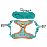 Toddmomy 1 Satz Transportbox für Haustiere Hundegeschirr Hundeleine Bausatz züchten heiser hundesicherheitsgeschirre hundesicherheitsgurt Welpengeschirr Geschirr für kleine Hunde Tuch Blue