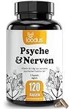 Johanniskraut Kapseln - 10000mg Johanniskraut hochdosiert aus 10:1 Extrakt (2 Kapseln) + GABA + L-Tryptophan - 2 Monatsvorrat - pflanzlicher Stimmungsaufheller hochdosiert von loodus®