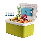 Camping-Kühlbox, tragbar, Hartschale, für Picknick | Kapazität 15 l, Erfrischungszubehör für Getränke, Camping, Grillen, Angeln, Picknick und Outdoor-Aktivitäten