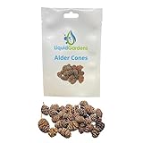 Liquid Gardens Erlenzapfen, 25 Stück - Aquarium Garnelen Zubehör, Aquarium Botanicals, Tannine für Betta Fisch, Garnelen Wasseraufbereiter, Erlenzapfen Aquarium, Süßwasser Garnelen für Aquarium