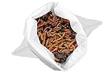 Alpenwurm 0,5KG Kompostwürmer (min. 500Stk.) Regenwürmer, Gartenwürmer