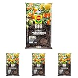 COMPO Bio Zitruspflanzenerde, Erde auch für mediterrane Pflanzen geeignet, Torffrei, 10 Liter, Unzutreffend (Packung mit 4)