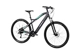 F.lli Schiano E-Mеrcury, E Bike Mountainbike, 29 Zoll, 36V 11.6Ah Abnehmbarer Akku, Motor 250W 50Nm, MTB Ebike für Herren/Damen, Grau