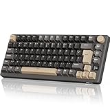 RK ROYAL KLUDGE M75 Gaming Tastatur kabellos 75% Prozent TKL Mechanische Tastatur RGB 2,4 GHz Wireless/Bluetooth/USB-C QWERTZ mit OLED-Smart-Display und Knopf Hot Swappable Braune Schalter, Grau