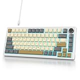 SbocKeeb V500 Mechanische Tastatur mit Knopf, Amerikanische QWERTY 75% Kabelgebundene Gaming-Tastatur, Dichtung Hot Swap, Vorgeschmierte Weiß Schalter RGB, für PC, MAC Shimmer