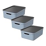 Rotho Jive 3er-Set Aufbewahrungsbox 10l mit Deckel