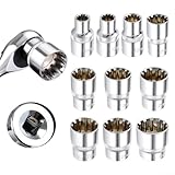 1/2-Zoll-Antrieb, 12-Kant-Stecknuss für Torx, hochwertige Chrom-Vanadium-Stahlkonstruktion (8 mm)