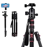 Rollei Compact Traveler No. 2 Stativ Schwarz, 180cm Stativ Kamera 360° Kugelkopf Kompaktes Aluminum Reisestativ mit Einbeinstativ Funktion Dreibeinstativ für DSLR Kamera Fotostativ mit Handyhalterung