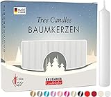 BRUBAKER 20er Pack Baumkerzen Wachs - Weihnachtskerzen...