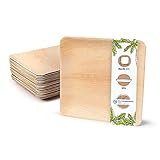 BIOZOYG Einwegteller 50 Stück 25x25 cm Palmblatt-Teller - Einweggeschirr kompostierbar - hochwertige Alternative für Bambus Teller und Pappteller - Partygeschirr