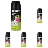 Axe Bodyspray Epic Fresh Deo ohne Aluminium sorgt 48 Stunden lang für effektiven Schutz vor Körpergeruch 150 ml (Packung mit 5)