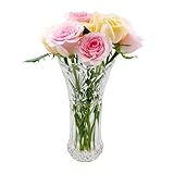 Blumenvase aus klarem Glas, 24CM Vase aus Verdicktem Kristallglas für Blumen, Dekorative Vase für Pampasgras, Tulpen, Orchideen, Rosen, Trockenblumen