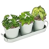 CTDMJ Metall-Pflanztöpfe mit Abtropfschale, Kräutertöpfe für Küche, Fensterbank, Kräuterpflanzgefäß für drinnen und draußen, Kräutergarten, Kräutertopf, Pflanzgefäß-Set, Fenstertöpfe für Pflanzen und