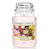 Yankee Candle Duftkerze im Glas (groß) | Fresh Cut Roses | Brenndauer bis zu 150 Stunden
