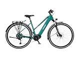 Fischer E-Bike ATB Terra 4.0i Elektrofahrrad für Damen und Herren, RH 50, Mittelmotor 80 Nm, 36 V Akku