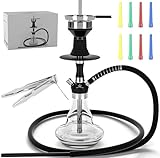 NOBLE HOOKAH 43cm Reise Shisha Set Klein Shisha Mini Shisha to go mit Hochwertigem Zubehör - mundgeblasene Flasche und Edelstahl-Downpipe 1 Schläuche und Griffe