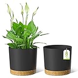 ZMTECH Blumentopf 20 cm Durchmesser übertöpfe für zimmerpflanzen, Kunststoff blumentöpfe mit Untersetzer und Abflusslöchern, Rund pflanztöpfe für Innen Außen Pflanzen(2er-Set, Dunkel Grau)