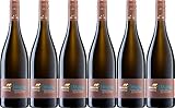 Familienweingut Braun (Mutig Chardonnay Reserve 2021 Trocken (6 x 0.75 l)