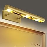 PIOUTNF 18'' Moderne Wandleuchte, 270° Drehbare Bilderrahmenleuchte, Messing Wandlampe, Badezimmer-Wandleuchte, Goldene Kunstleuchte, für Schlafzimmer, Wohnzimmer, Flur, Ohne Glühbirne