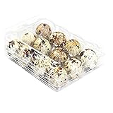 Quail Egg Kartons, 50 Stück, Wachteleier, wiederverwendbar, ecyclebarer Kunststoff Eierkarton für den Kühlschrank, jeder Platz für 12 kleine Wachteleier, Fasan oder Grouse