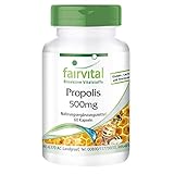 Fairvital | Bienen Propolis Kapseln - Natürliches Bienenharz Extrakt 500mg - Mit 3% Galangin - HOCHDOSIERT - 60 Kapseln