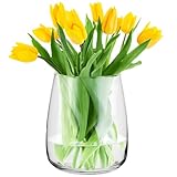 TREND FOR HOME Glasvase Gross H: 22.7 cm Vase für Pampasgras Glasvase Rund Vasen Groß Vasen Hochzeit Tulpenvase Vase Bauchig Durchsichtig Rosenvase Vase für Tulpen Breite Öffnung | Ø 19 cm | Zinnia