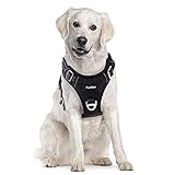 Funfox Hundegeschirr für Große Hunde No Pull Geschirr Einstellbar Anti Zug Sicherheitsgeschirr Hunde Geschirrset Mittlere Hunde Brustgeschirr Hund Groß Atmungsaktiv Dog Harness Schwarz Große L