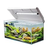 VIALIA Aquarium rechteckig mit Juwel LED Abdeckung weiß 60x30x30 cm, 54 Liter, Glasbecken für Fische und Wasserpflanzen, Aquarium Becken stoßfest