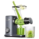 AMZCHEF Kompakt Entsafter Gemüse und Obst mit Zwei Zuführungsmodi für Einfache Verwendung - 150W High-Tech-Silent Slow Juicer mit Überhitzungsschutz und Rückwärts-Mastizieren - Grau