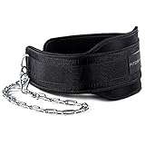 Fitgriff® Dip Gürtel mit Kette + 2 Karabiner, Dip Belt für Bodybuilding, Krafttraining, Gewichtheben - Gewichthebergürtel, Gewicht Gürtel (Schwarz, OneSize)