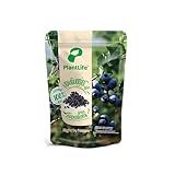 PlantLife BIO Heidelbeeren getrocknet 350g - Rohe, Luftgetrocknete, Ungezuckerte und Ungeschwefelte Blaubeeren