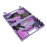 1 Satz/5 Pcs Garten Werkzeug Box Indoor Haus Pflanzen Garten Werkzeuge Pflanzen für Miniatur Pflanzen Werkzeuge Kleine Multitool Metall Strand Schaufel Garten Werkzeuge Kit Pflanze Zubehör Pflege