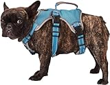 Paworld Sicherheitsgeschirr Hund Ausbruchsicher, Panikgeschirr für Hunde, Mehrzweck-Hundegeschirr, Reflektierend, Verstellbare Weste mit Griff, Hundegeschirr für Große/Mittelgroß Hunde (Blau, S)
