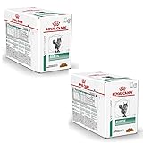 Royal Canin Veterinary Diabetic | Doppelpack | 2 x 12 x 85 g | Diät-Alleinfuttermittel für Katzen | Zur Regulierung der Glucoseversorgung | Mit feinen Stückchen in Soße