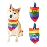 2 Pcs Stolz Tag Hund Bandana,Regenbogen LGBT Dreieckiges Hundehalstuch,Einstellbare Hund Atmungsaktiv Regenbogen Bandanas,für kleine mittlere Hunde Katzen Haustiere