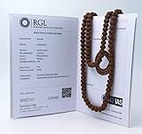 ShivaRatna Rudraksha Mala 108+1 Perlen (Pathri Mala/Chikna Mala) Laborzertifiziert