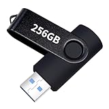 USB-Flash-Laufwerk 256 GB, tragbares Daumenlaufwerk: Speicherstick 256 GB, große Kapazität, USB-Laufwerk mit Schlüsselanhänger, High-Speed-USB-2.0-Datenspeicher-Flash-Laufwerk 256 GB für PC/Laptop