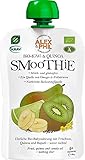 Alex&Phil - Bio Quetschie Smoothie mit Kiwi & Quinoa für Babys ab 6 Monaten - Fruchtmus im Quetschbeutel - Milch- und Glutenfrei, Vegan, 5er Pack (5x100g)