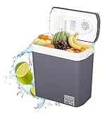 WOLTU Elektrische Kühlbox 24L zum Kühlen und Warmhalten Mini Kühlschrank Isolierbox 12V & 230V für Auto und Steckdose Grau