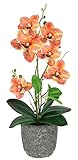 Kunstblume Schmetterling Orchidee 38cm mit Blätter und Luftwurzeln im Topf aus Keramik Künstliche Blume Kunstorchidee Phalaenopsis mit Übertopf Kunstpflanze Hochzeit Deko Seidenblume Real Touch Blüte