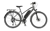 Prophete E-Bike, Damen Elektrofahrrad, 28' Trekking E-Bike, Blaupunkt Hinterradmotor, 8 Gänge, Akku (36V/12,8Ah/461Wh), Farbe grau